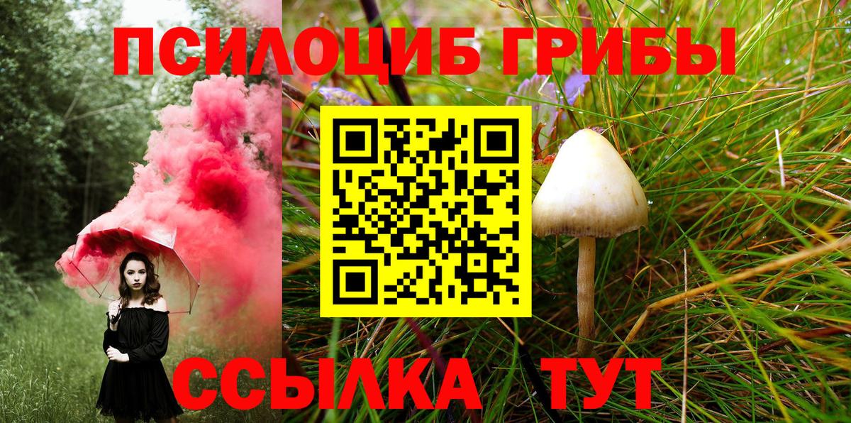 Псилоцибиновые грибы прущие грибы Вольск